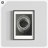 1-92_Karl-Blossfeldt_blk