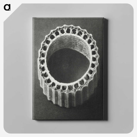 1-92_Karl-Blossfeldt_canvas