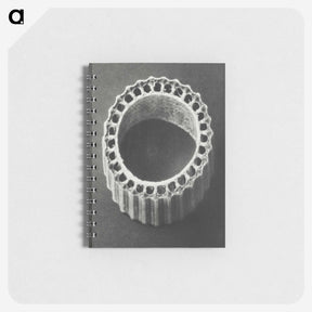 1-92_Karl-Blossfeldt_memo