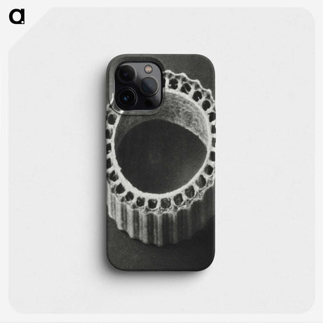 1-92_Karl-Blossfeldt_phone