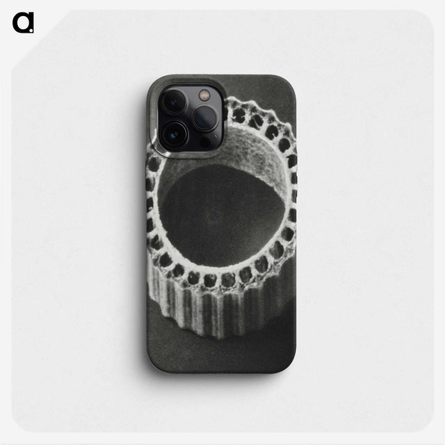1-92_Karl-Blossfeldt_phone