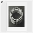 1-92_Karl-Blossfeldt_picture
