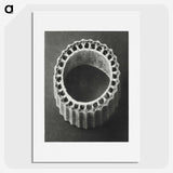1-92_Karl-Blossfeldt_picture