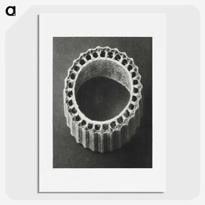 1-92_Karl-Blossfeldt_picture