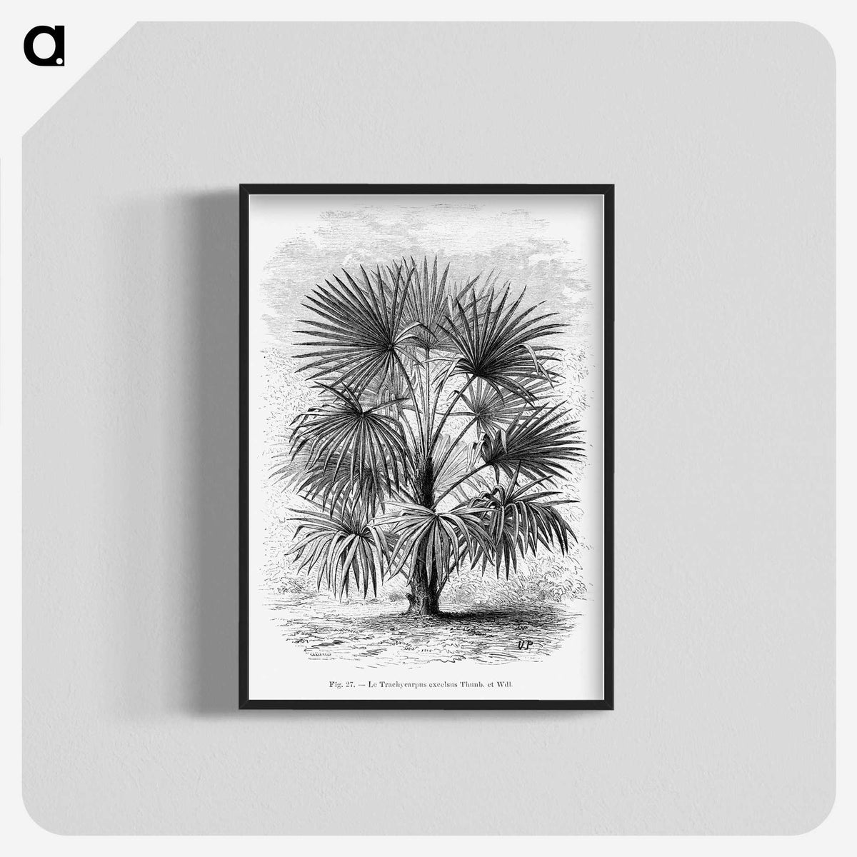 1-92_Les-Palmiers-Histoire-Iconographique_blk-crop