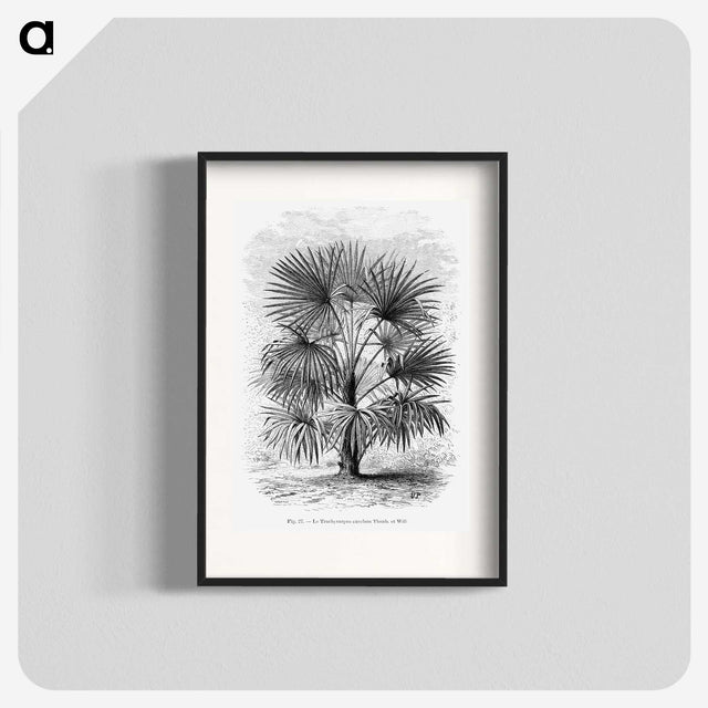 1-92_Les-Palmiers-Histoire-Iconographique_blk