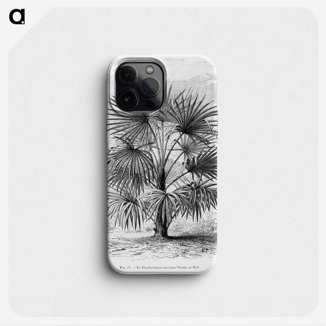 1-92_Les-Palmiers-Histoire-Iconographique_phone