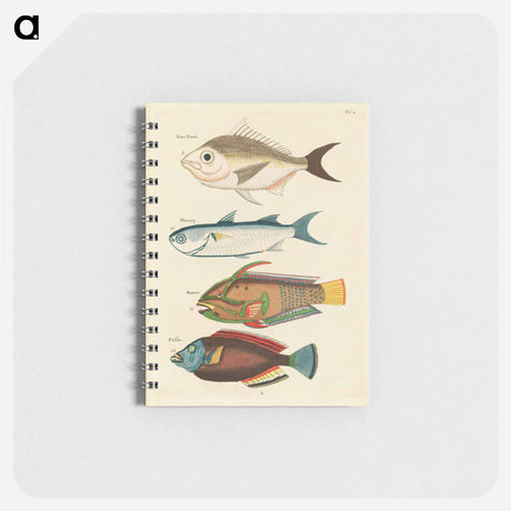 アートメモ帳-Moluccan Fishes
 - ルイ ルナール Memo.