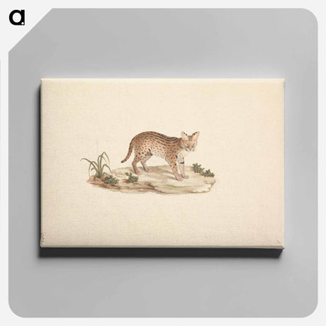 アートパネル-African Wildcat or Serval
 - ルイージ バルガーニ Canvas.