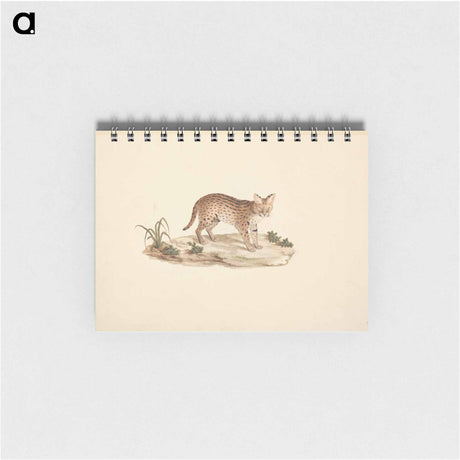 アートメモ帳-African Wildcat or Serval
 - ルイージ バルガーニ Memo.