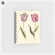 アートメモ帳-Tulipa Gesneriana
 - マリア ジビーラ メーリアン Memo.