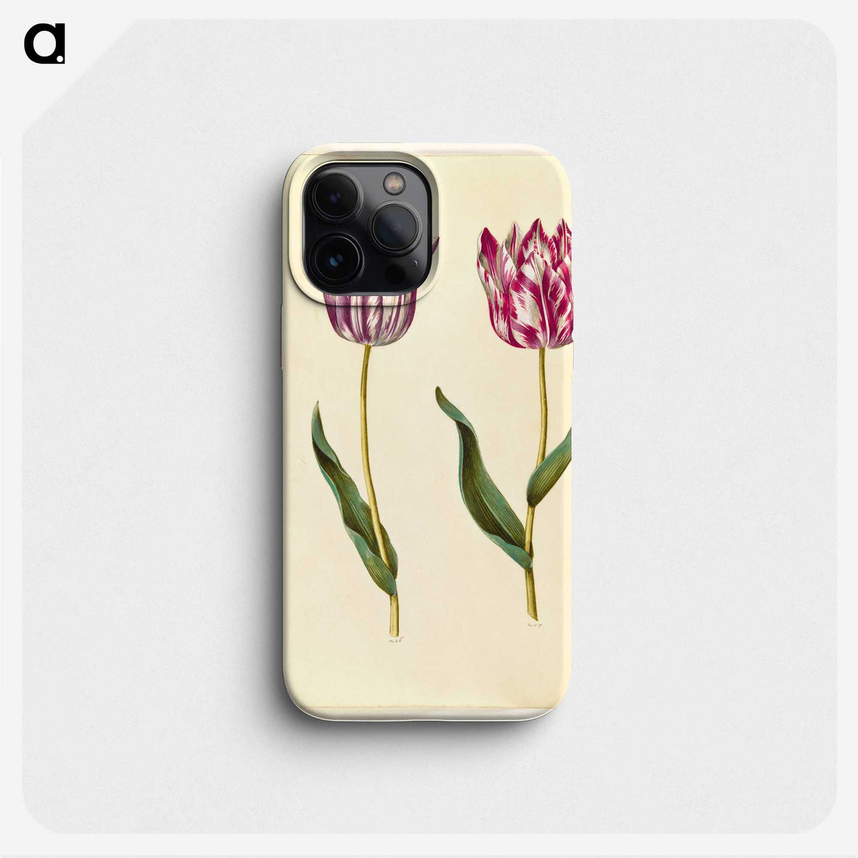 1-92_Maria-Sibylla-Merian_phone
