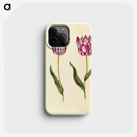 1-92_Maria-Sibylla-Merian_phone