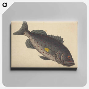 アートパネル-The Rock Fish
 - マーク ケイツビー Canvas.