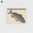 1-92_Mark-Catesby_memo