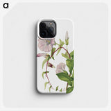 1-92_Mary-Vaux-Walcott_phone
