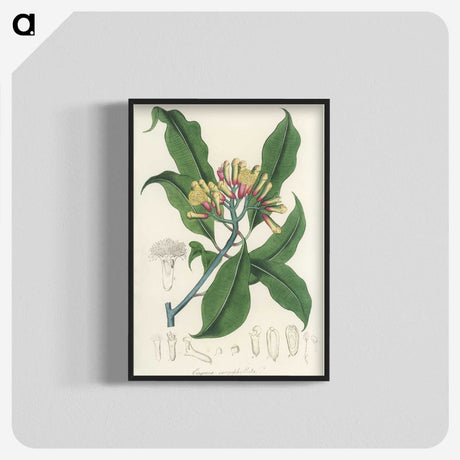 1-92_Medical-Botany_blk-crop