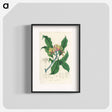 アートポスター-Cloves Illustration
 - 薬用植物学 Poster.