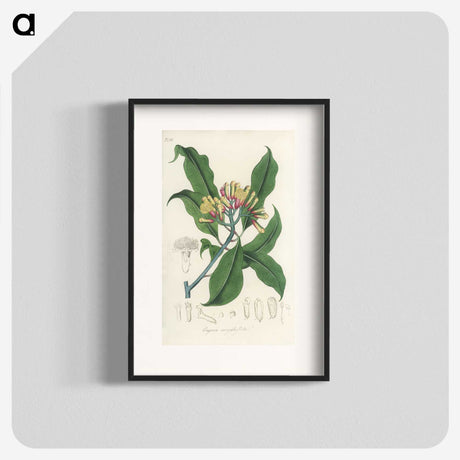 1-92_Medical-Botany_blk