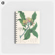 アートメモ帳-Cloves Illustration
 - 薬用植物学 Memo.