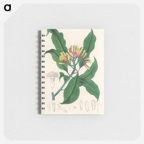 アートメモ帳-Cloves Illustration
 - 薬用植物学 Memo.