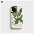 1-92_Medical-Botany_phone