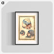 アートポスター-Three Heads with Flayed Scalps, Showing Cranium and Veins
 - 国立医学図書館 Poster.
