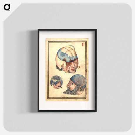 アートポスター-Three Heads with Flayed Scalps, Showing Cranium and Veins
 - 国立医学図書館 Poster.