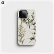 1-92_Native-Flowering-Plants-of-New-Zealand_phone
