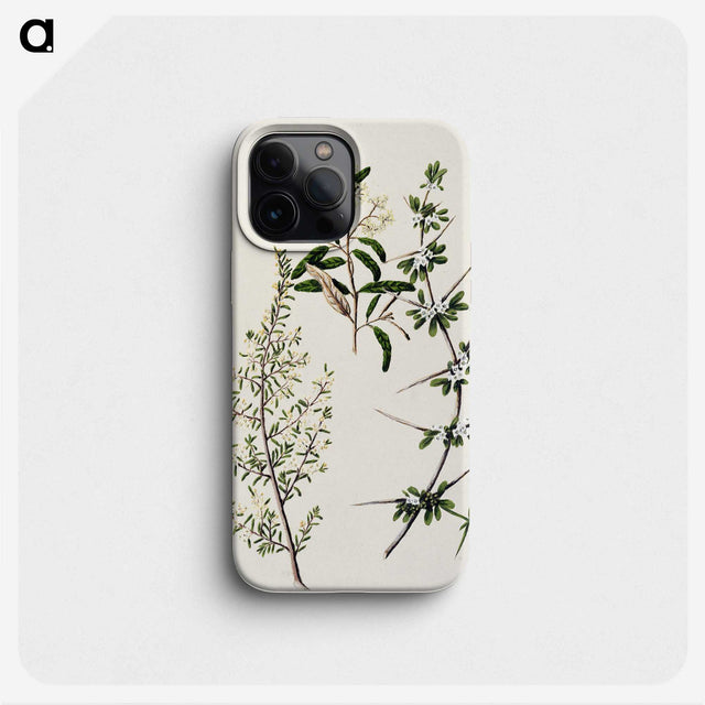 1-92_Native-Flowering-Plants-of-New-Zealand_phone