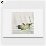 1-92_Ohara-Koson_picture