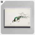 アートパネル-Eastern Turtle Dove and Miscanthus
 - 鳥類図鑑 Canvas.