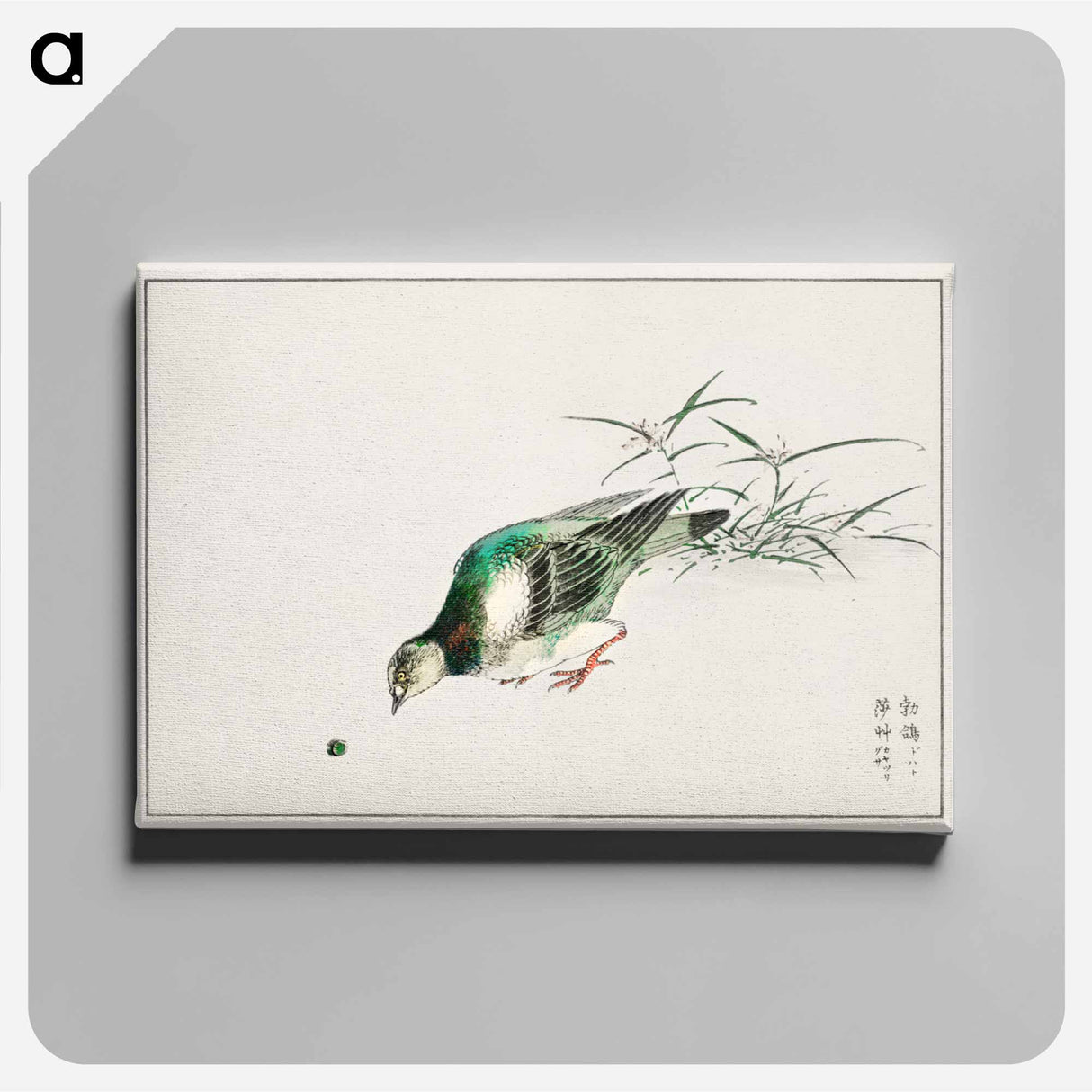 アートパネル-Eastern Turtle Dove and Miscanthus
 - 鳥類図鑑 Canvas.