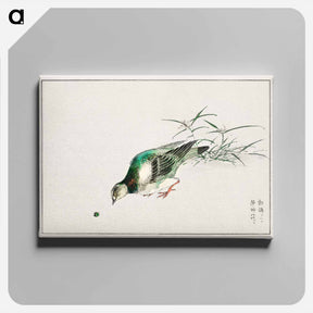 アートパネル-Eastern Turtle Dove and Miscanthus
 - 鳥類図鑑 Canvas.