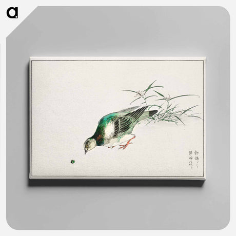 アートパネル-Eastern Turtle Dove and Miscanthus
 - 鳥類図鑑 Canvas.