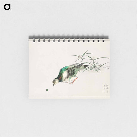 アートメモ帳-Eastern Turtle Dove and Miscanthus
 - 鳥類図鑑 Memo.