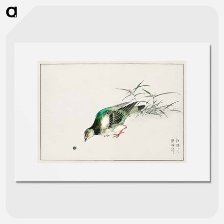 アートポスター-Eastern Turtle Dove and Miscanthus
 - 鳥類図鑑 Poster.
