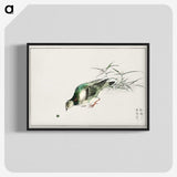 1-92_Pictorial-Monograph-of-Birds_blk-crop
