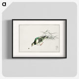 1-92_Pictorial-Monograph-of-Birds_blk
