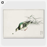 1-92_Pictorial-Monograph-of-Birds_picture-crop