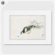 1-92_Pictorial-Monograph-of-Birds_picture