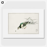 1-92_Pictorial-Monograph-of-Birds_picture