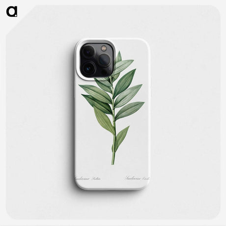 1-92_Pierre-Joseph-Redoute_phone