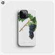 1-92_Pomona-Italiana_phone