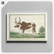 1-92_Robert-Jacob-Gordon_canvas