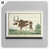 1-92_Robert-Jacob-Gordon_canvas