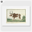1-92_Robert-Jacob-Gordon_picture