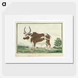 1-92_Robert-Jacob-Gordon_picture