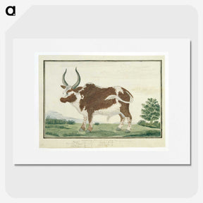 1-92_Robert-Jacob-Gordon_picture