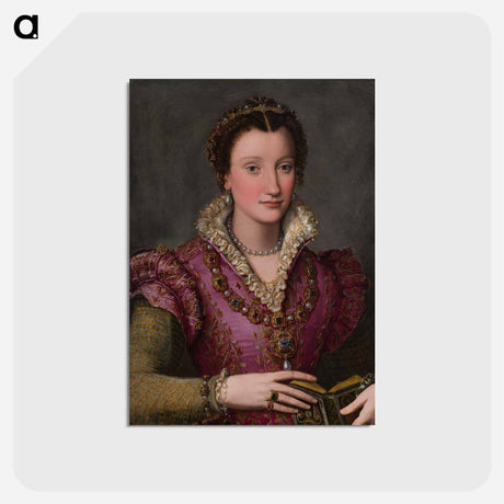 アートポストカード-Portrait of a Lady
 - セントルイス美術館 Postcard.